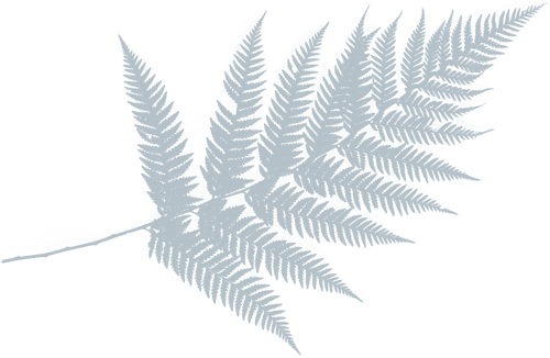 holistic-healer-43